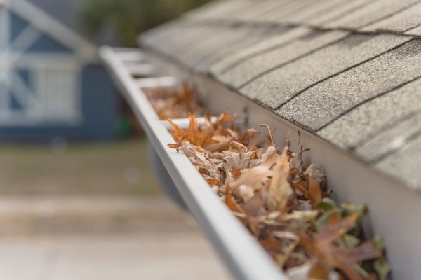 Leaf Barrier Installation in Cherry Hill